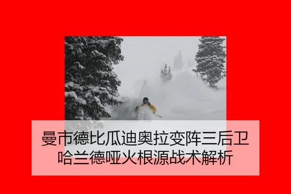 man-shi-de-bi-gua-di-ao-la-bian-zhen-san-hou-wei-ha-lan-de-ya-huo-gen-yuan-zhan-shu-jie-xi-2-908.jpg