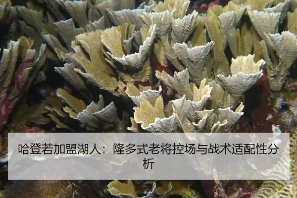 ha-deng-ruo-jia-meng-hu-ren-long-duo-shi-lao-jiang-kong-chang-yu-zhan-shu-shi-pei-xing-fen-xi-2-304.jpg