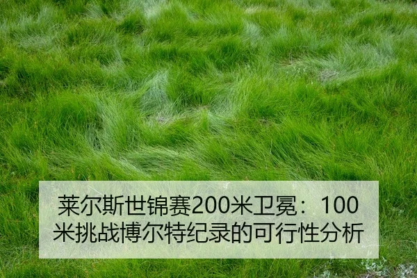 lai-er-si-shi-jin-sai-mi-wei-mian-mi-tiao-zhan-bo-er-te-ji-lu-de-ke-xing-xing-fen-xi-2-450.jpg